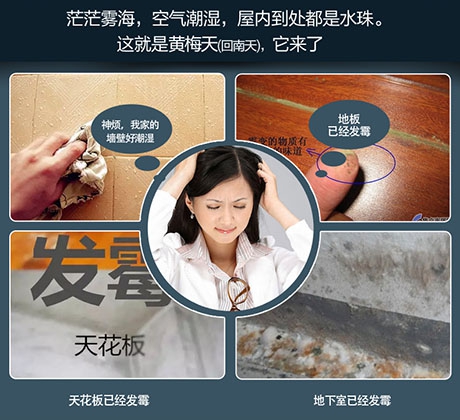 養(yǎng)豬舍濕氣大，使用工業(yè)除濕機(jī)