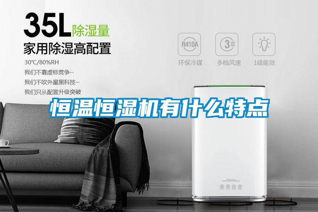 恒溫恒濕機(jī)有什么特點