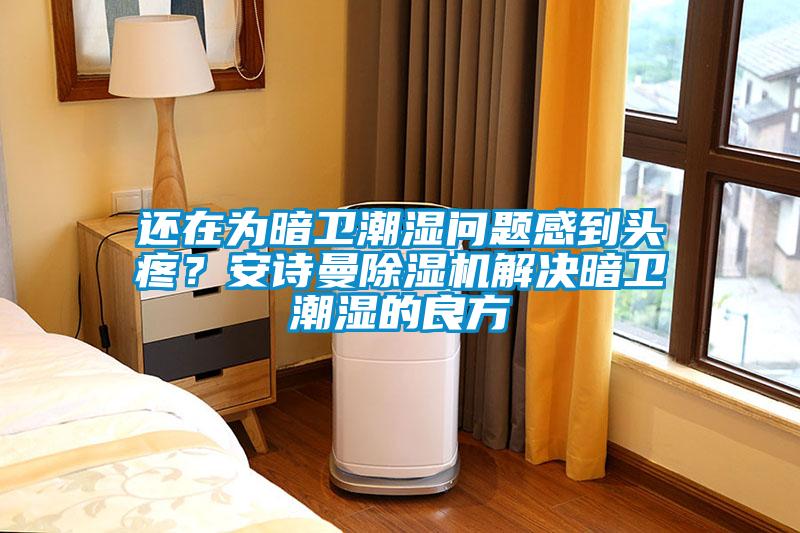 還在為暗衛(wèi)潮濕問題感到頭疼？安詩曼除濕機解決暗衛(wèi)潮濕的良方