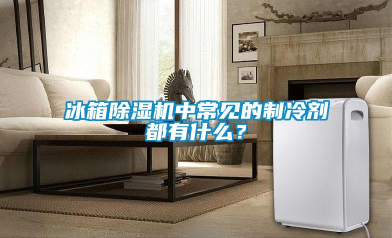 冰箱除濕機中常見的制冷劑都有什么？