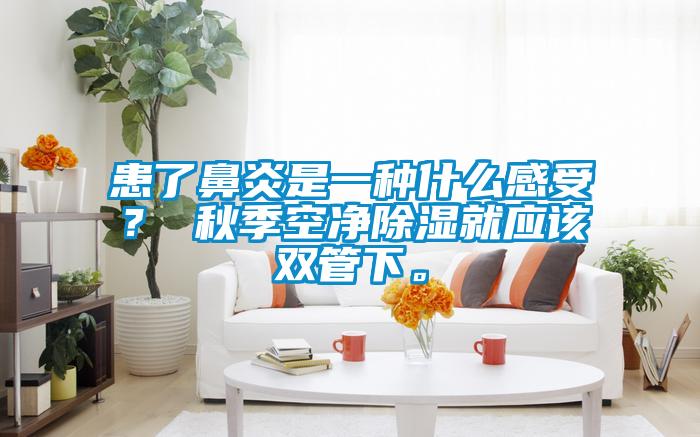患了鼻炎是一種什么感受？ 秋季空凈除濕就應該雙管下。
