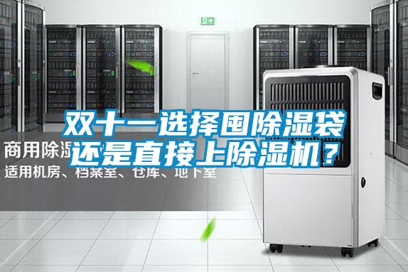 雙十一選擇囤除濕袋還是直接上除濕機(jī)？