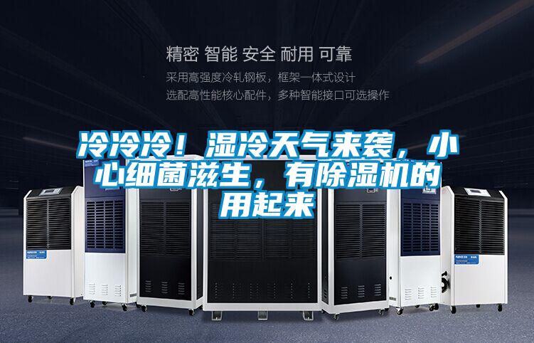 冷冷冷！濕冷天氣來襲，小心細菌滋生，有除濕機的用起來