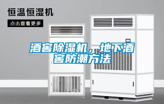 酒窖除濕機(jī)，地下酒窖防潮方法