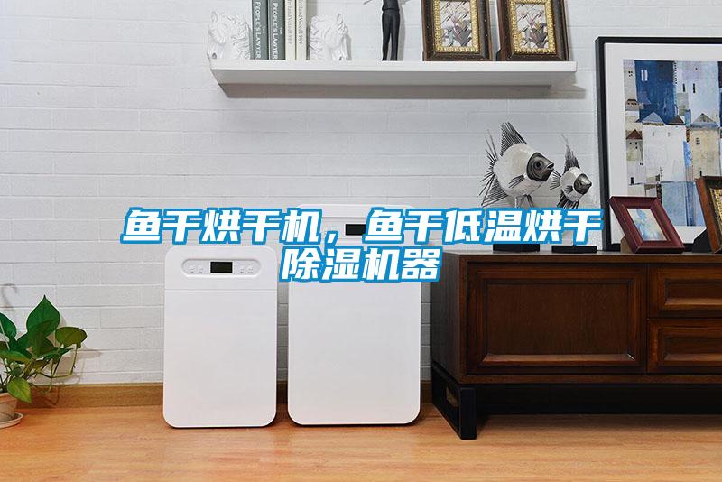 魚干烘干機，魚干低溫烘干除濕機器