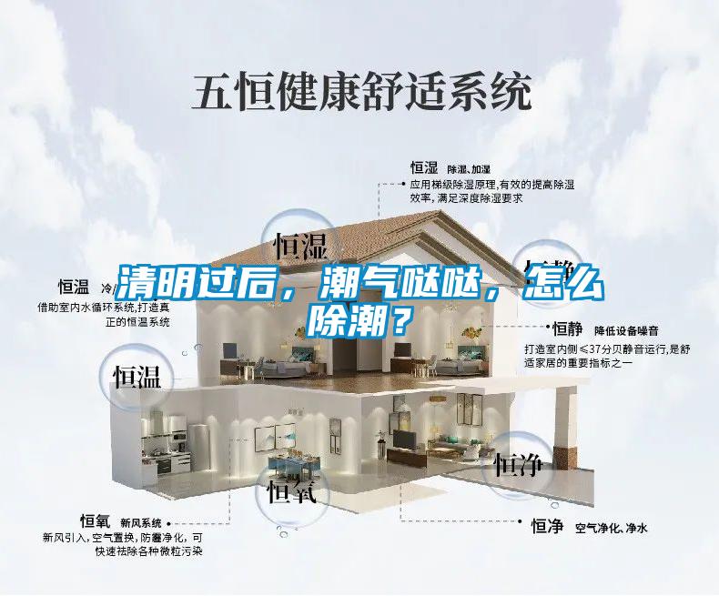 清明過后，潮氣噠噠，怎么除潮？