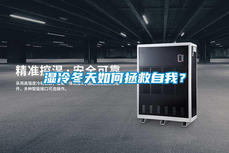濕冷冬天如何拯救自我？