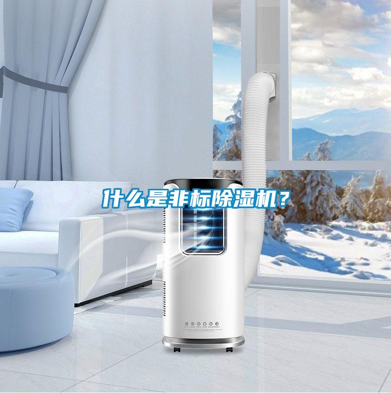 什么是非標(biāo)除濕機(jī)？