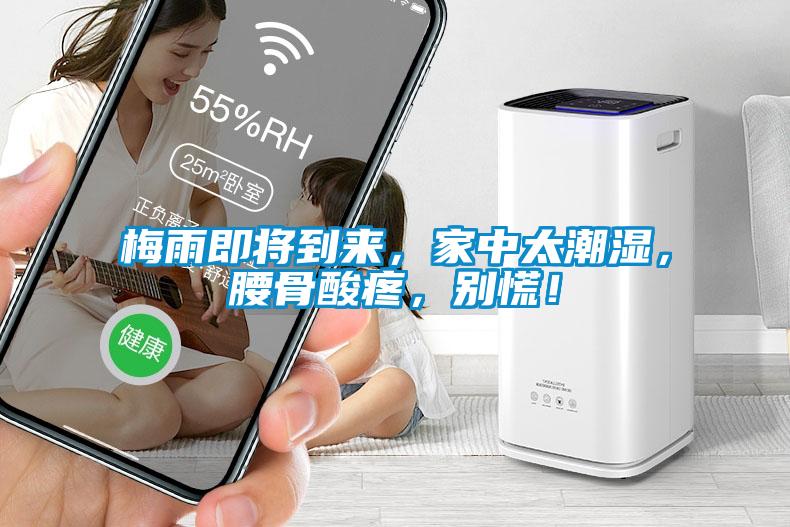 梅雨即將到來，家中太潮濕，腰骨酸疼，別慌！