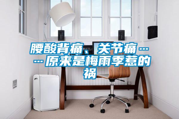腰酸背痛、關(guān)節(jié)痛……原來是梅雨季惹的禍