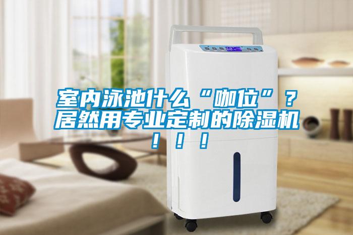 室內(nèi)泳池什么“咖位”？居然用專業(yè)定制的除濕機?。。?/></p>
                              <p style=