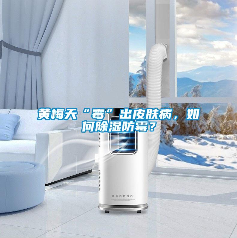 黃梅天“霉”出皮膚病，如何除濕防霉？