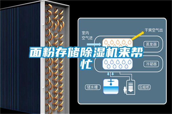 面粉存儲(chǔ)除濕機(jī)來(lái)幫忙