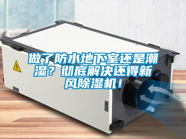 做了防水地下室還是潮濕？徹底解決還得新風除濕機！