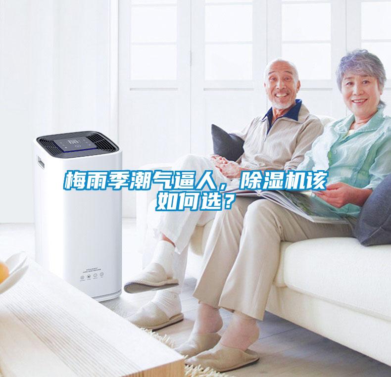 梅雨季潮氣逼人，除濕機(jī)該如何選？