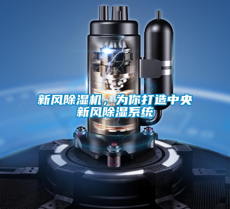 新風(fēng)除濕機(jī)，為你打造中央新風(fēng)除濕系統(tǒng)