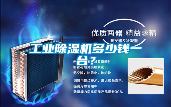 工業(yè)除濕機(jī)多少錢一臺？