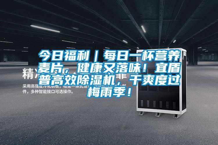 今日福利｜每日一杯營(yíng)養(yǎng)麥片，健康又落味！宜盾普高效除濕機(jī)，干爽度過(guò)梅雨季！