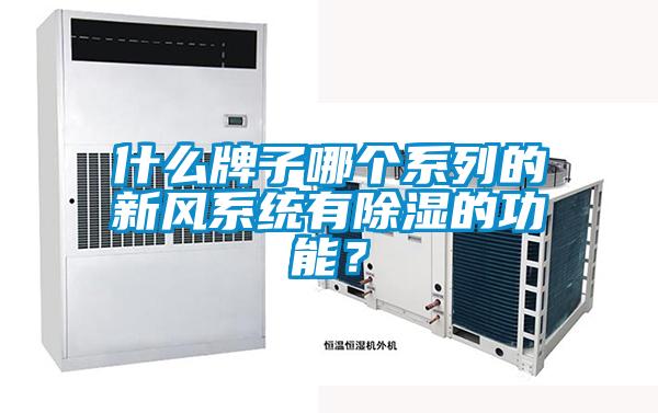 什么牌子哪個系列的新風系統(tǒng)有除濕的功能？