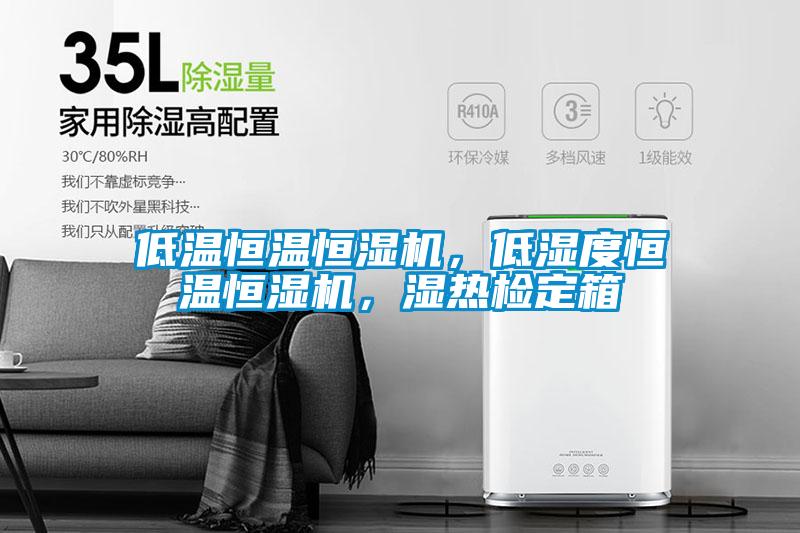 低溫恒溫恒濕機(jī)，低濕度恒溫恒濕機(jī)，濕熱檢定箱