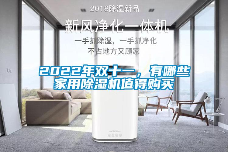 2022年雙十一，有哪些家用除濕機(jī)值得購(gòu)買(mǎi)