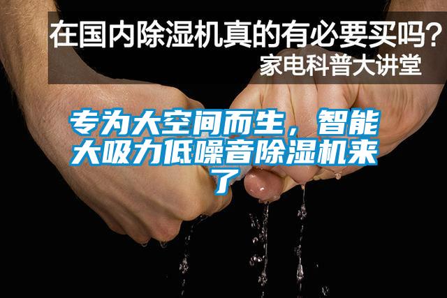 專為大空間而生，智能大吸力低噪音除濕機(jī)來(lái)了