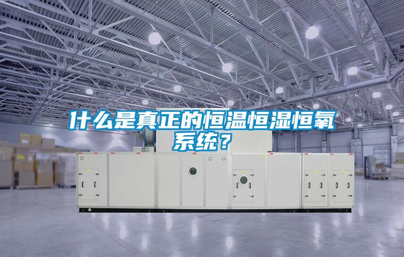 什么是真正的恒溫恒濕恒氧系統(tǒng)？