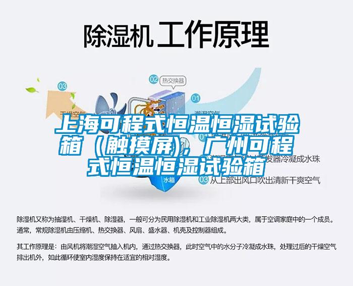 上?？沙淌胶銣睾銤裨囼?yàn)箱（觸摸屏)，廣州可程式恒溫恒濕試驗(yàn)箱