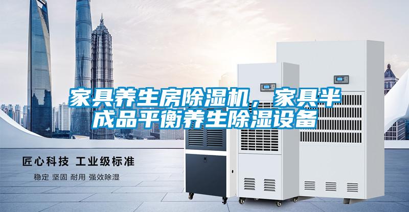 家具養(yǎng)生房除濕機，家具半成品平衡養(yǎng)生除濕設(shè)備
