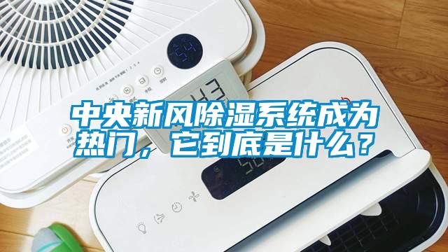 中央新風(fēng)除濕系統(tǒng)成為熱門，它到底是什么？