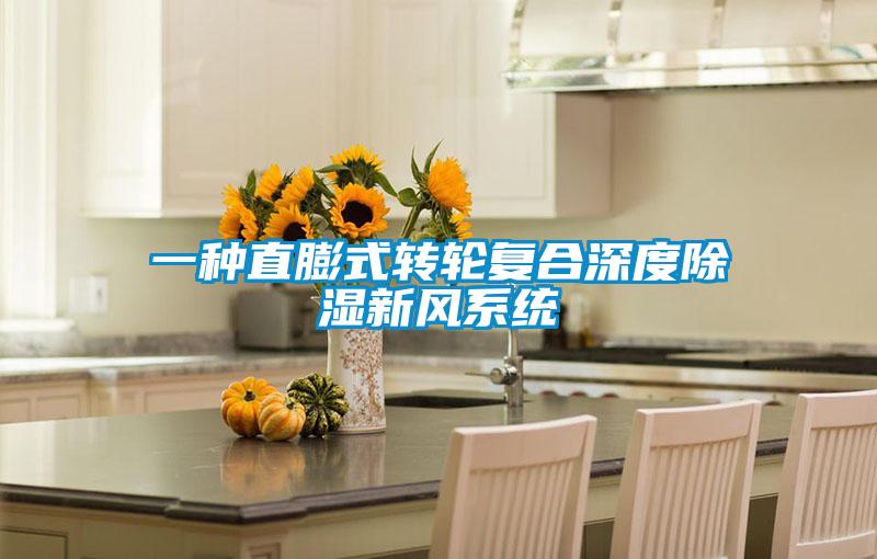 一種直膨式轉(zhuǎn)輪復合深度除濕新風系統(tǒng)