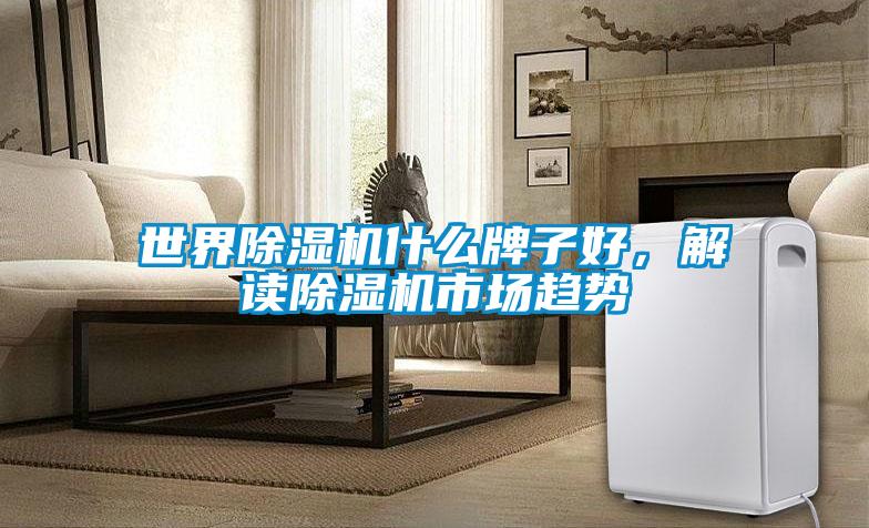 世界除濕機(jī)什么牌子好，解讀除濕機(jī)市場(chǎng)趨勢(shì)