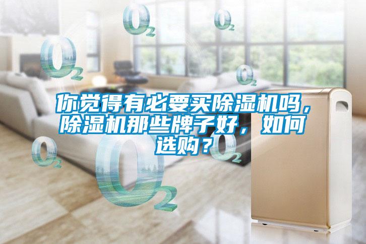 你覺得有必要買除濕機嗎，除濕機那些牌子好，如何選購？