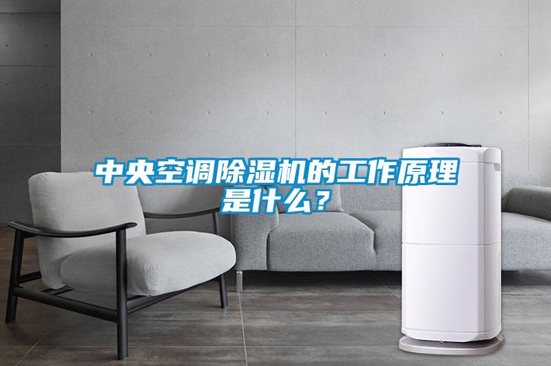 中央空調(diào)除濕機(jī)的工作原理是什么？