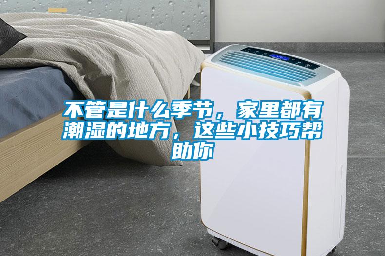 不管是什么季節(jié)，家里都有潮濕的地方，這些小技巧幫助你