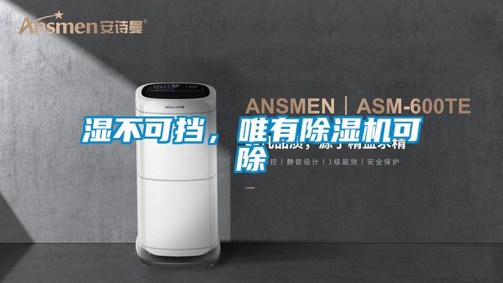 濕不可擋，唯有除濕機(jī)可除