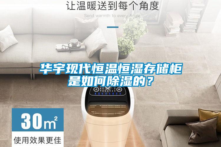 華宇現(xiàn)代恒溫恒濕存儲(chǔ)柜是如何除濕的？