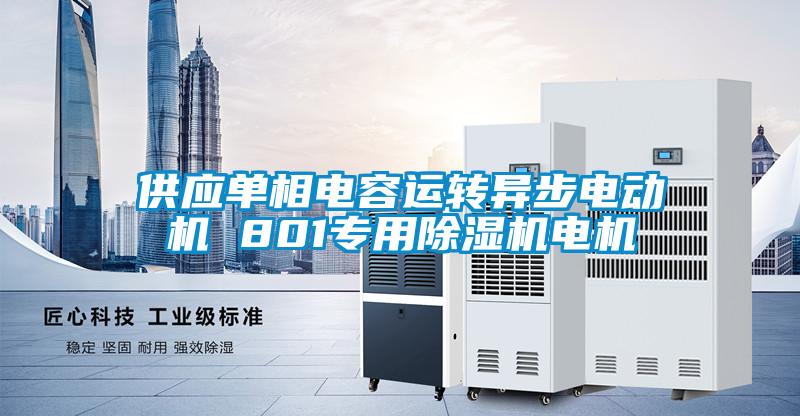 供應(yīng)單相電容運轉(zhuǎn)異步電動機(jī) 801專用除濕機(jī)電機(jī)