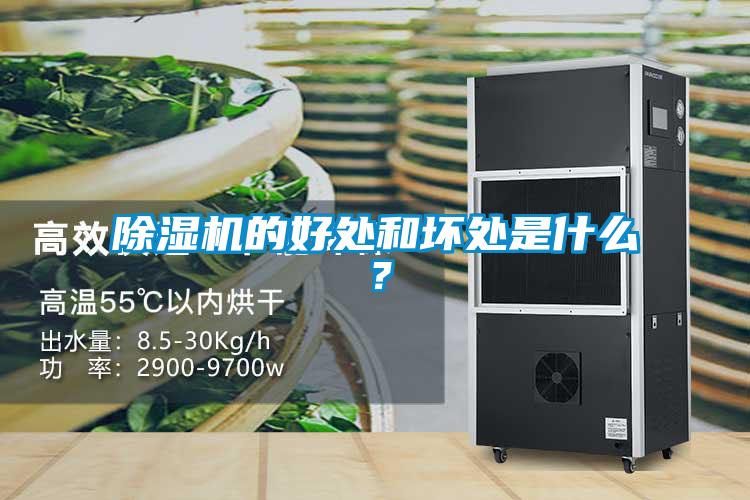 除濕機(jī)的好處和壞處是什么？