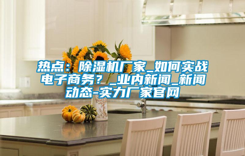 熱點(diǎn)：除濕機(jī)廠家_如何實(shí)戰(zhàn)電子商務(wù)？_業(yè)內(nèi)新聞_新聞動(dòng)態(tài)-實(shí)力廠家官網(wǎng)