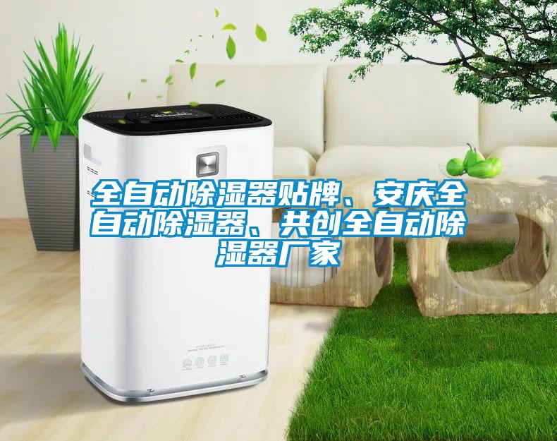 全自動除濕器貼牌、安慶全自動除濕器、共創(chuàng)全自動除濕器廠家