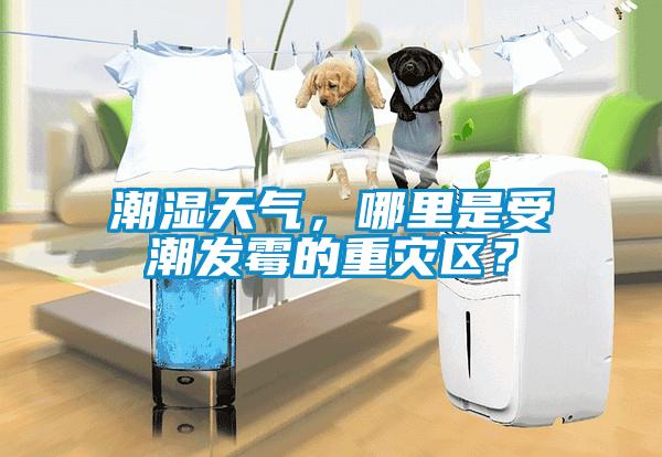 潮濕天氣，哪里是受潮發(fā)霉的重災(zāi)區(qū)？