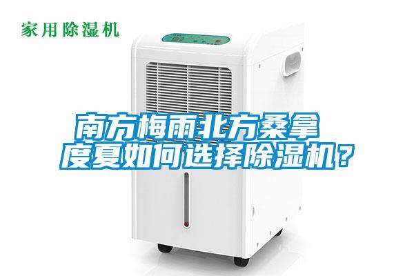 南方梅雨北方桑拿 度夏如何選擇除濕機(jī)？