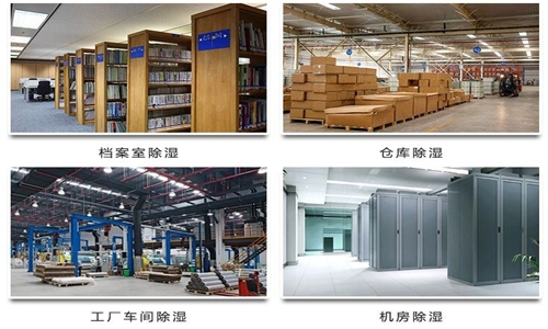 為什么竹筍烘干房需要除濕機？