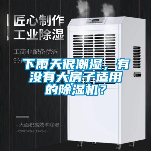 下雨天很潮濕，有沒有大房子適用的除濕機？