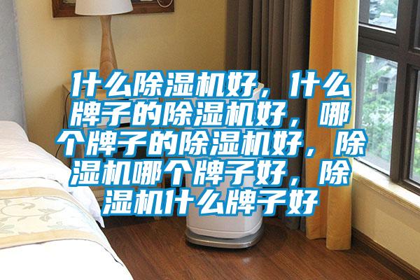 什么除濕機(jī)好，什么牌子的除濕機(jī)好，哪個(gè)牌子的除濕機(jī)好，除濕機(jī)哪個(gè)牌子好，除濕機(jī)什么牌子好