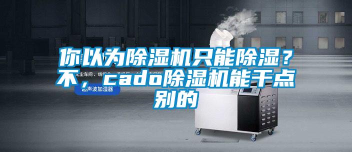 你以為除濕機(jī)只能除濕？不，cado除濕機(jī)能干點別的