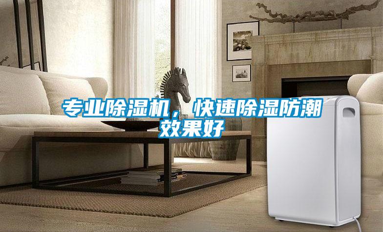 專業(yè)除濕機(jī)，快速除濕防潮效果好