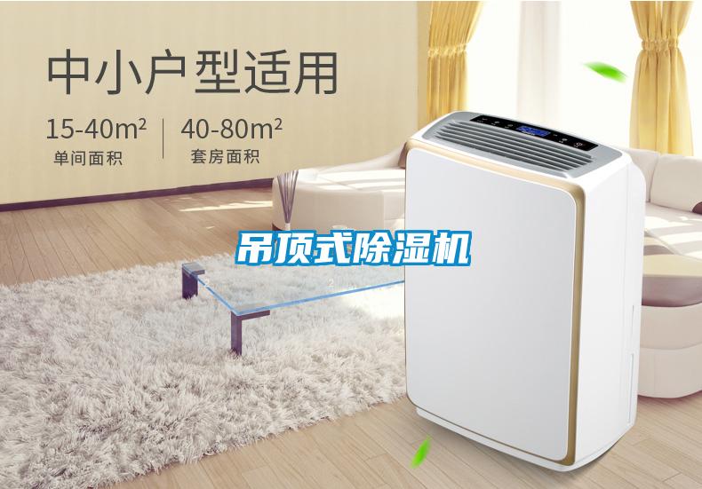 吊頂式除濕機(jī)
