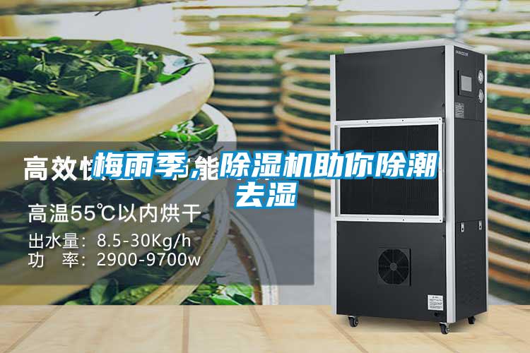 梅雨季，除濕機(jī)助你除潮去濕